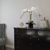 2 White Orchid in 5" Black Cube Pot