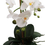 25-Inch Realistic White Orchid Arrangement – Artificial Phalaenopsis Flowers with Natural Leaf Details in Ceramic Pot for Home & Office Decor