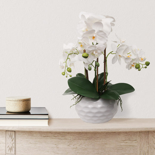 White Artificial Phalaenopsis Orchid in Dimple White Vase - 19"