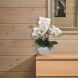 19" White Phalaenopsis Orchid Flowers in Dimple White Vase