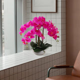 20" Fuchsia Phalaenopsis Orchid in White Round Pot - Realistic Faux Orchid Arrangement