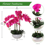 20" Fuchsia Phalaenopsis Orchid in White Round Pot - Realistic Faux Orchid Arrangement