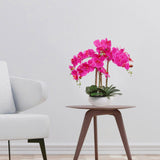 20" Fuchsia Phalaenopsis Orchid in White Round Pot - Realistic Faux Orchid Arrangement