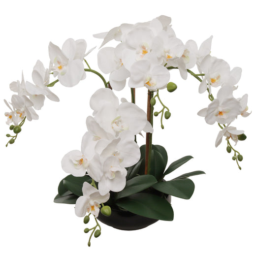 White Fake Phalaenopsis Orchid in Round Black Vase - 20"