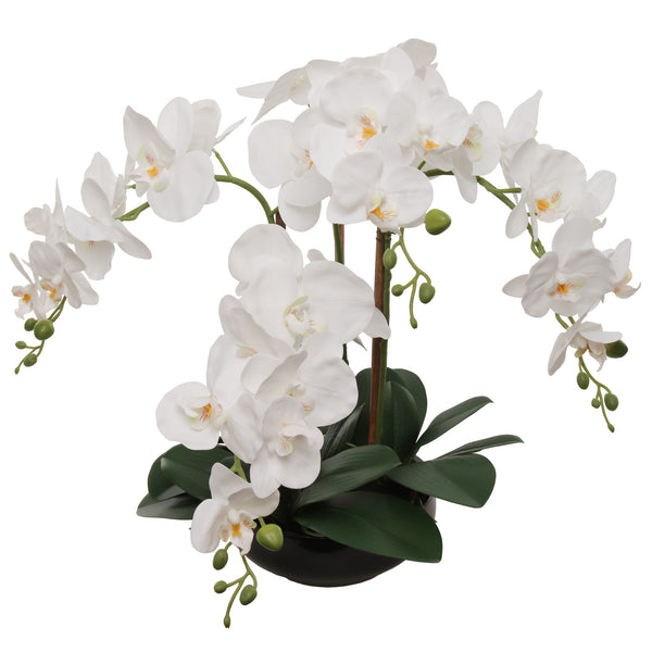 White Fake Phalaenopsis Orchid in Round Black Vase - 20"