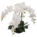 20" White Phalaenopsis Orchid Flowers in Round Black Vase