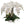 20" White Phalaenopsis Orchid in 10" Round Pot - 
    White Pot