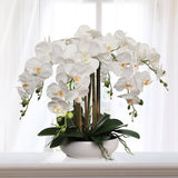 White Artificial Phalaenopsis Orchid in 10" Ceramic Pot - 20"