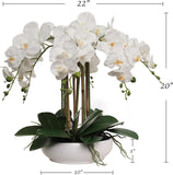 White Artificial Phalaenopsis Orchid in 10" Ceramic Pot - 20"