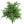 Fake Juniper Bush with Green Berries & Brown Twigs - 17" - 
    Green
