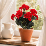 Real Touch Red Geranium Bush with 7 Fronds, Set of 3 - 18"