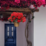 2-Pack 18" Red Geranium Bush Artificial Flowers