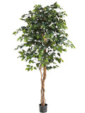 6' Artificial Ficus Tree with 1008 Leaves - Realistic Indoor/Outdoor Decor Pack of 2, Floral Home by Artificial Flowers