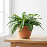 28" Boston Fern Plant with 25 Silk Fronds