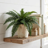 28" Boston Fern Plant with 25 Silk Fronds