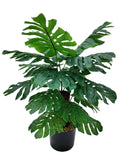 24" Monstera Plant in Black Pot with Realistic Silk Leaves Pack of 2, Floral Home by Artificial Flowers