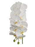 Real Touch White Phalaenopsis Orchid Stem, 41-Inch, 13 Realistic Silk Flowers & 2 Buds, Fake Orchids Pack of 2, Floral Home by Artificial Flowers