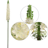 47" Artificial Foxtail Spray Cream - Elegant Faux Floral Decor, Lifelike Creamy Blooms for Home, Office, and Event Arrangements Pack of 3, Floral Home by Artificial Flowers