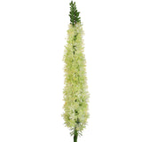 47" Artificial Foxtail Spray Green - Realistic Faux Floral Decor for Home and Events, Lush Greenery Accent Piece Pack of 2, Floral Home by Artificial Flowers