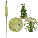 47" Artificial Foxtail Spray Green - Realistic Faux Floral Decor for Home and Events, Lush Greenery Accent Piece Pack of 2, Floral Home by Artificial Flowers