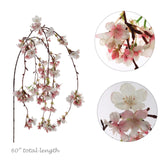 60" Artificial Hanging Cherry Blossom Pink & White - Elegant Faux Floral Decor, Lifelike Silk Flowers for Home and Events Pack of 3, Floral Home by Artificial Flowers