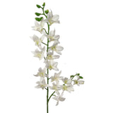 34" Cream Dendrobium Spray, 34-Inch, Silk Flowers & Green Buds, Indoor Use, Floral Sprays Pack of 2, Floral Home by Artificial Flowers