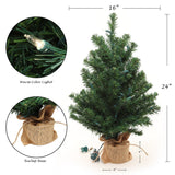 2' Northern Spruce Tree with Burlap Base | Realistic Greenery | Indoor/Outdoor Use | Holiday & Christmas Décor | Tabletop Accent | Home & Office Decoration
