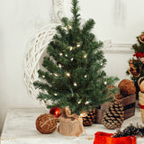 2' Northern Spruce Tree with Burlap Base | Realistic Greenery | Indoor/Outdoor Use | Holiday & Christmas Décor | Tabletop Accent | Home & Office Decoration