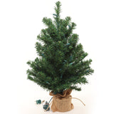 2' Northern Spruce Tree with Burlap Base | Realistic Greenery | Indoor/Outdoor Use | Holiday & Christmas Décor | Tabletop Accent | Home & Office Decoration