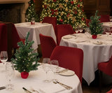 2 ft Pre-Lit Northern Spruce Christmas Tree with Red Cloth Base, Tabletop Holiday Décor