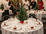 2 ft Pre-Lit Northern Spruce Christmas Tree with Red Cloth Base, Tabletop Holiday Décor