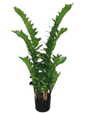 Artificial Zamifolia Bush in Po - 43"