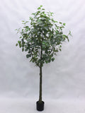 6' Artificial Eucalyptus Trees in Pots - Lifelike Greenery for Home & Office Decor Pack of 1, Floral Home by Artificial Flowers