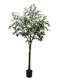 6' Artificial Olive Trees with 1050 Leaves and 78 Berries in Pots - Realistic Greenery for Home & Office Decor Pack of 2, Floral Home by Artificial Flowers