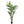 Faux Kentia Palm Plant with 248 Leaves - 7' - 
    Green