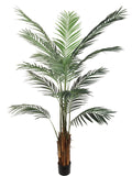 Set of 2 Lifelike Artificial Palm Trees - 6 Feet Tall Realistic Indoor/Outdoor Faux Palm Plants for Home Decor & Office, Floral Home by Artificial Flowers