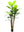 Faux Banana Tree in Black Pot with 36 Silk Leaves - 7' - 
    Green