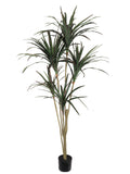 5' Artificial Dracaena Marginata in Pot - Realistic Indoor Greenery for Home & Office Decor Pack of 2, Floral Home by Artificial Flowers