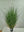 Faux Curly Grass in Pot - 4' - 
    Green