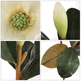 27" Artificial Magnolia with Bud (7" Diameter) - Lifelike Floral Decoration for Home & Office Pack of 6, Floral Home by Artificial Flowers