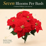 Red Velvet Faux Poinsettia Bush with 7 Silk Sprays - 20"