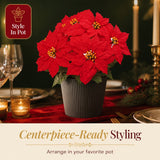 Red Velvet Faux Poinsettia Bush with 7 Silk Sprays - 20"