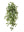 Artificial Nephthytis Bushes- 38" - 
    Green