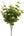 Artificial Eucalyptus Greenery Bush - 20" - 
    Green