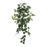 Hanging Pothos Bush 36