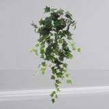 Hanging English Ivy Bush - 36"