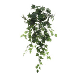 Hanging English Ivy Bush - 36"