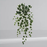 2 PC Hanging Variegated Ivy Bush 36"