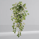 2PC Hanging Nephtytis Bush 36" – Lifelike Silk Leaves, Flexible Stems