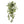 Silk Hanging Nephtytis Bush, Set of 2 - 36" - 
    Green